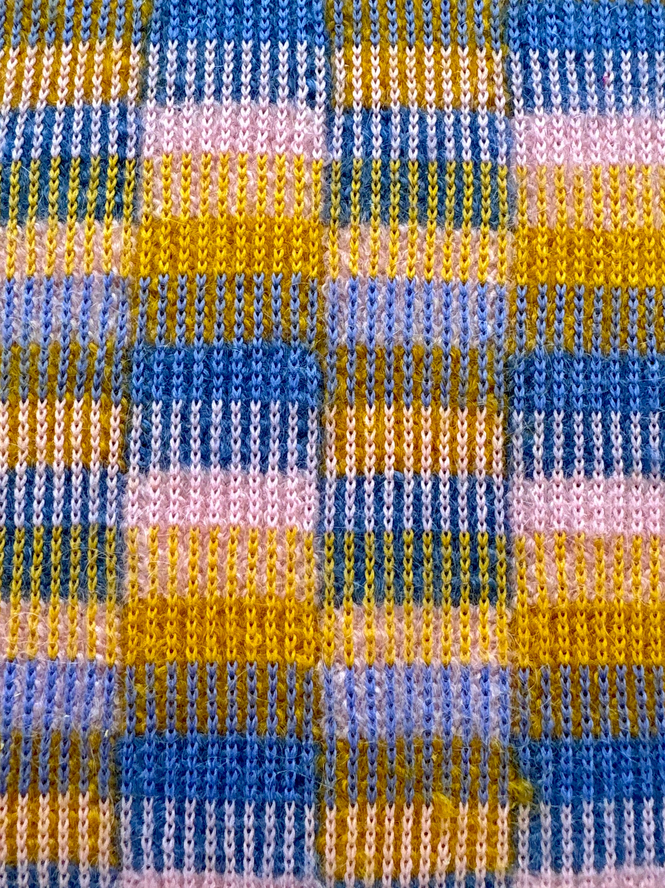Rose Jaune Bleu